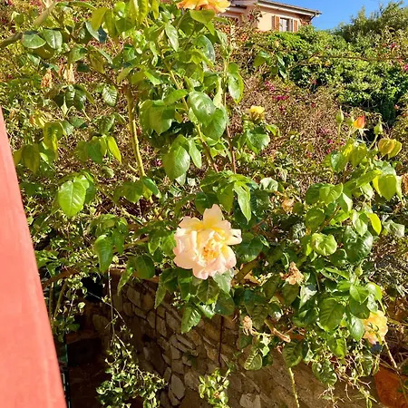 Belvedere Marciana Marina (Isola d'Elba)